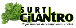 Surticilantro